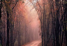 [CBA]高诗岩突破分球 陈培东三分稳稳命中.