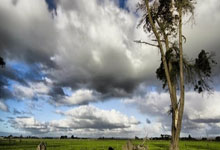 媒体人:奥斯卡亲口说归化事宜还在推进,6月仍然有望加入国足.