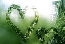 [天下足球]帕尔默造四球 切尔西客场大胜狼队.