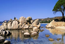 佩德里:如能获欧冠冠军我会很激动,巴萨很久没拿到这座奖杯了.